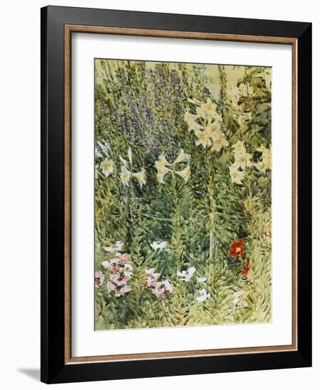 Larkspurs and Lillies, 1893-Childe Hassam-Framed Giclee Print