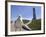 Larry, a Seagull-null-Framed Photographic Print