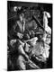 Photographic Print