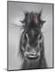 Premium Photographic Print