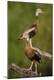 Premium Photographic Print
