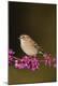 Premium Photographic Print