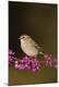 Premium Photographic Print