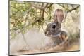 Premium Photographic Print