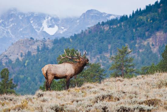 Premium Photographic Print, , large