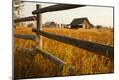 Photographic Print