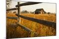 Photographic Print