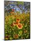 Premium Photographic Print