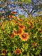 Premium Photographic Print