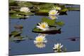 Photographic Print