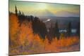 Photographic Print