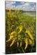 Premium Photographic Print