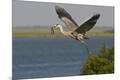 Premium Photographic Print