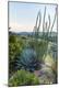 Premium Photographic Print