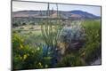 Photographic Print