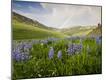 Premium Photographic Print