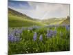 Photographic Print