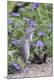 Premium Photographic Print