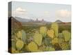 Stretched Canvas Print