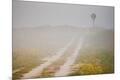 Premium Photographic Print