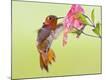Premium Photographic Print
