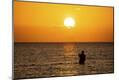 Photographic Print