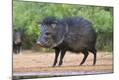 Premium Photographic Print