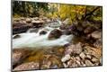 Photographic Print