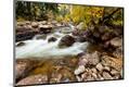 Photographic Print