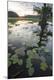 Premium Photographic Print