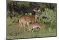 Premium Photographic Print