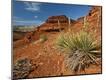Photographic Print