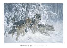 Edge of Winter (detail)-Larry Fanning-Mounted Art Print