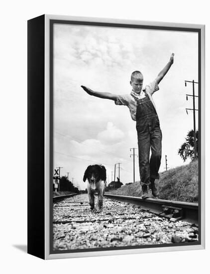 Larry Jim Holm with Dunk, His Spaniel Collie Mix, Walking Rail of Railroad Tracks in Rural Area-Myron Davis-Framed Premier Image Canvas