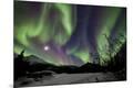 Premium Photographic Print