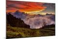 Premium Photographic Print