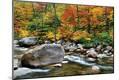 Premium Photographic Print