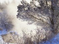 Scuppernong Creek in Winter Snow, Wisconsin, USA-Larry Michael-Photographic Print