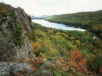 Autumn Scene in Woodland with Stream, Wisconsin, USA-Larry Michael-Photographic Print