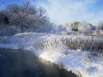 Early Morning Winter Frost Near River, Wisconsin, USA-Larry Michael-Photographic Print