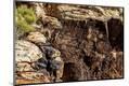 Photographic Print