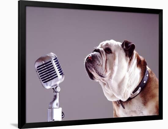 Photographic Print, , large