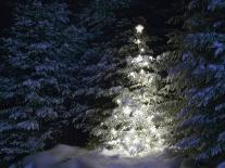 Illuminated Christmas Tree in Snow-Larry Williams-Photographic Print