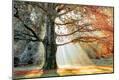 Photographic Print