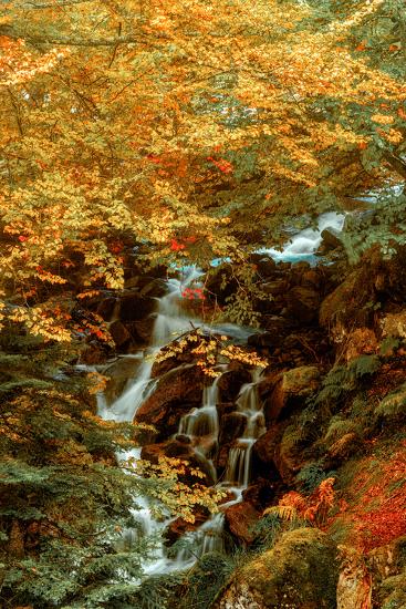 Premium Photographic Print, , large
