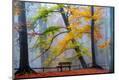 Photographic Print