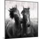 Premium Photographic Print