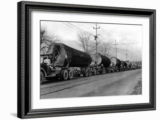 Larson Logging Co with 13 Truck Caravan - Bellingham, WA-Lantern Press-Framed Art Print