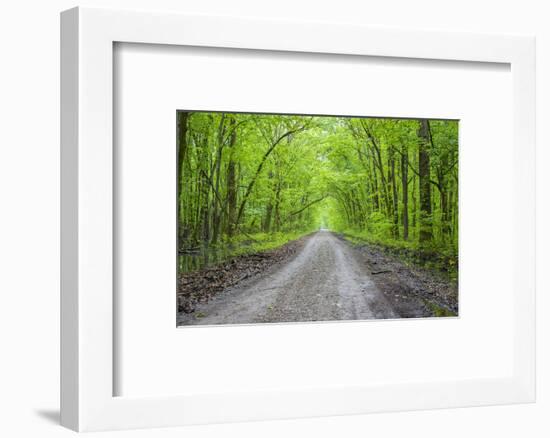 LaRue-Pine Hills Otter Pond Natural Area, Shawnee National Forest. Union County, Illinois.-Richard & Susan Day-Framed Photographic Print