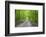 LaRue-Pine Hills Otter Pond Natural Area, Shawnee National Forest. Union County, Illinois.-Richard & Susan Day-Framed Photographic Print